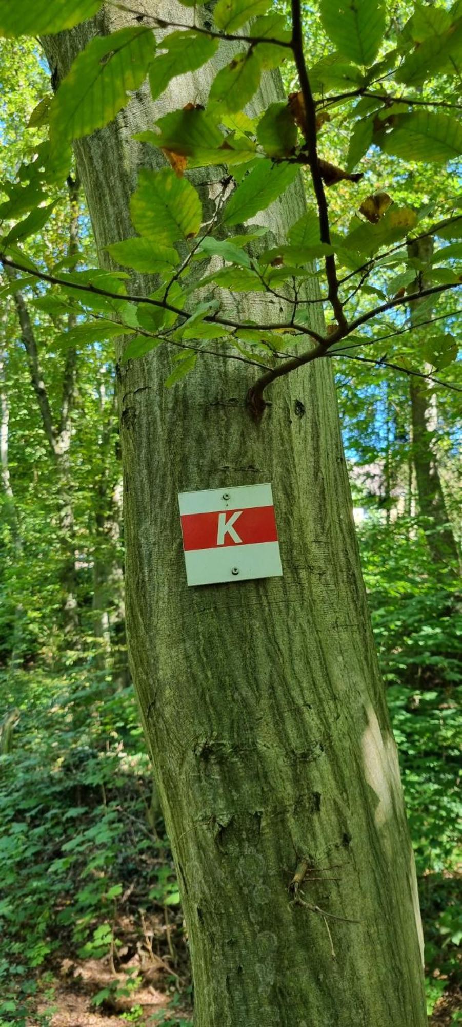 Ferienwohnung Zum Hirschen Herzberg am Harz Dış mekan fotoğraf